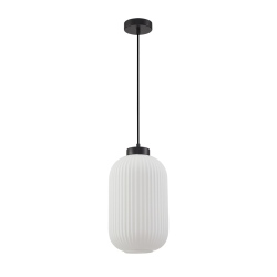 Lindo lampa wisząca Czarny 20cm IP20